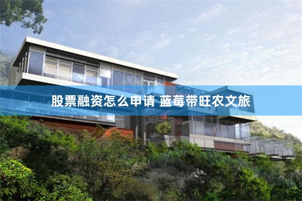 股票融资怎么申请 蓝莓带旺农文旅