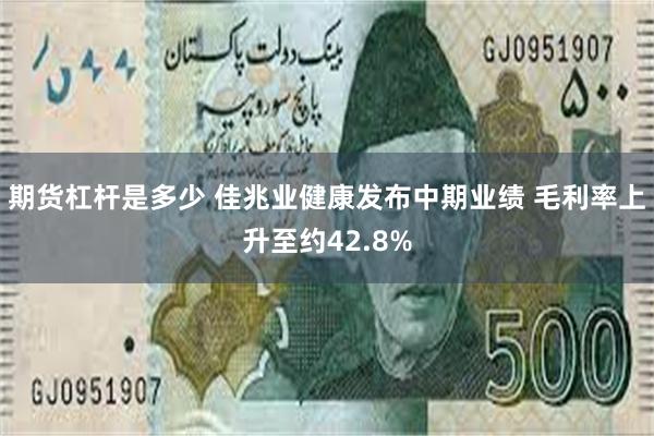 期货杠杆是多少 佳兆业健康发布中期业绩 毛利率上升至约42.8%