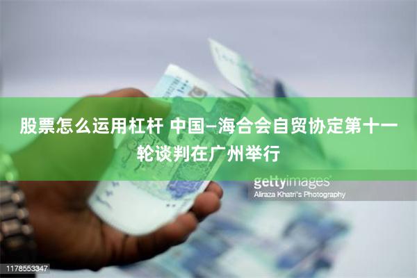 股票怎么运用杠杆 中国—海合会自贸协定第十一轮谈判在广州举行