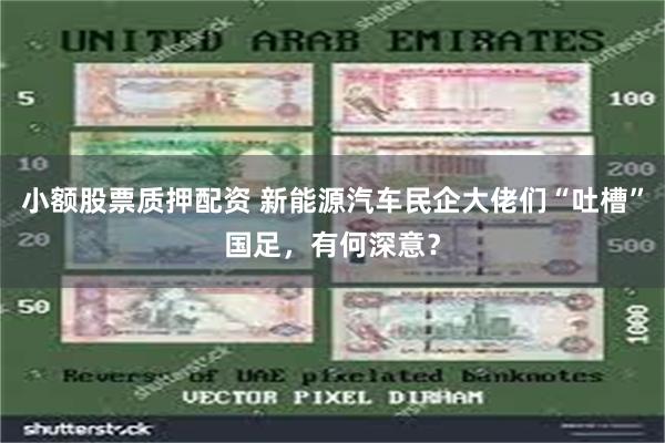 小额股票质押配资 新能源汽车民企大佬们“吐槽”国足，有何深意？