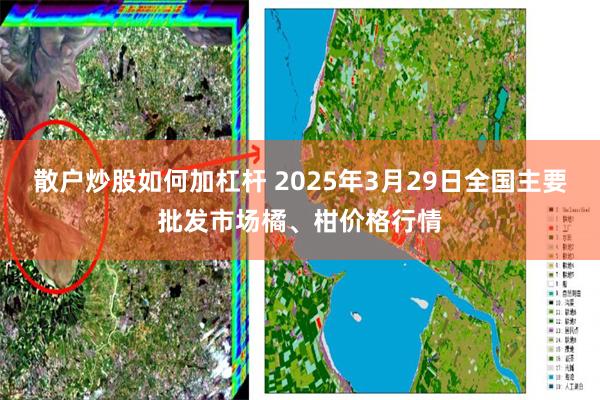 散户炒股如何加杠杆 2025年3月29日全国主要批发市场橘、柑价格行情