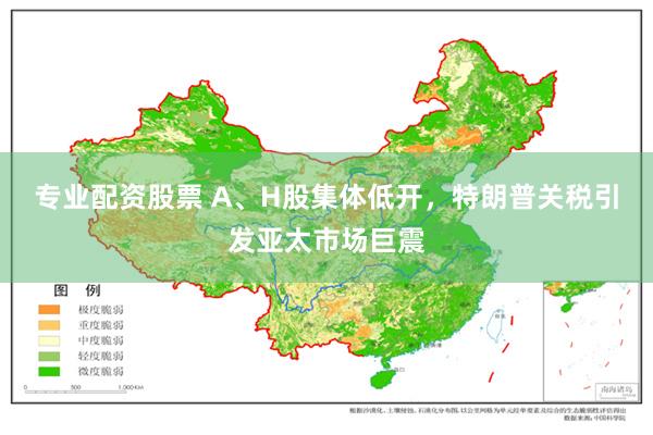 专业配资股票 A、H股集体低开，特朗普关税引发亚太市场巨震
