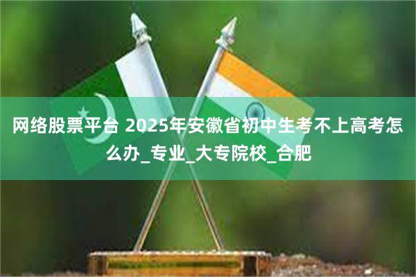 网络股票平台 2025年安徽省初中生考不上高考怎么办_专业_大专院校_合肥