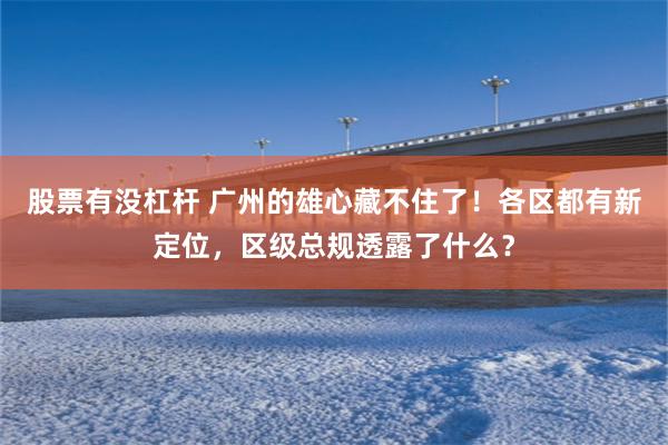 股票有没杠杆 广州的雄心藏不住了！各区都有新定位，区级总规透露了什么？
