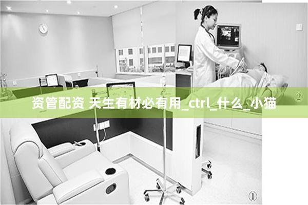 资管配资 天生有材必有用_ctrl_什么_小猫