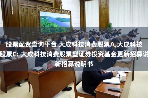 股票配资查询平台 大成科技消费股票A,大成科技消费股票C: 大成科技消费股票型证券投资基金更新招募说明书