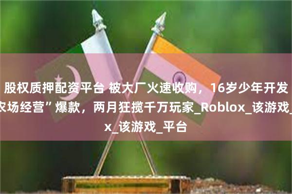 股权质押配资平台 被大厂火速收购，16岁少年开发的“农场经营”爆款，两月狂揽千万玩家_Roblox_该游戏_平台